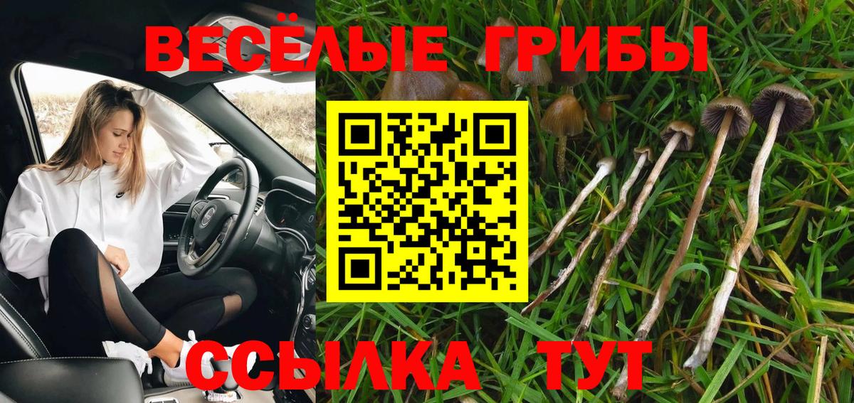 Псилоцибиновые грибы ЛСД Гусь-Хрустальный